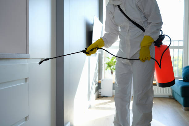 Best Mold Testing and Inspection Services in Tangelo Park, FL