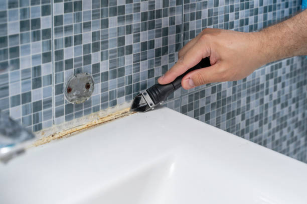 Best Kitchen Mold Remediation in Tangelo Park, FL